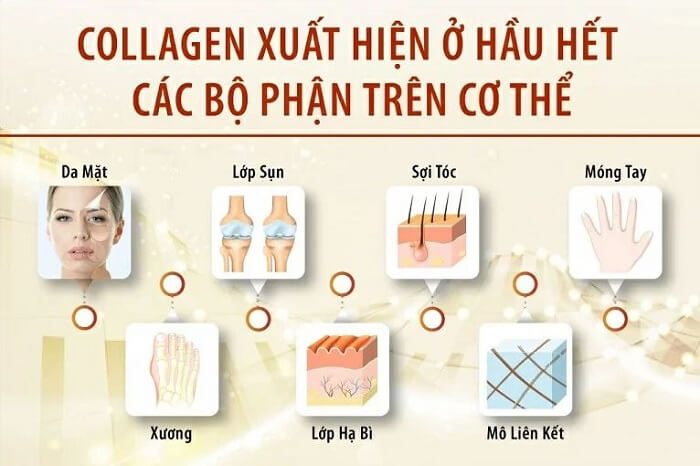 Bổ sung collagen thế nào cho đúng?